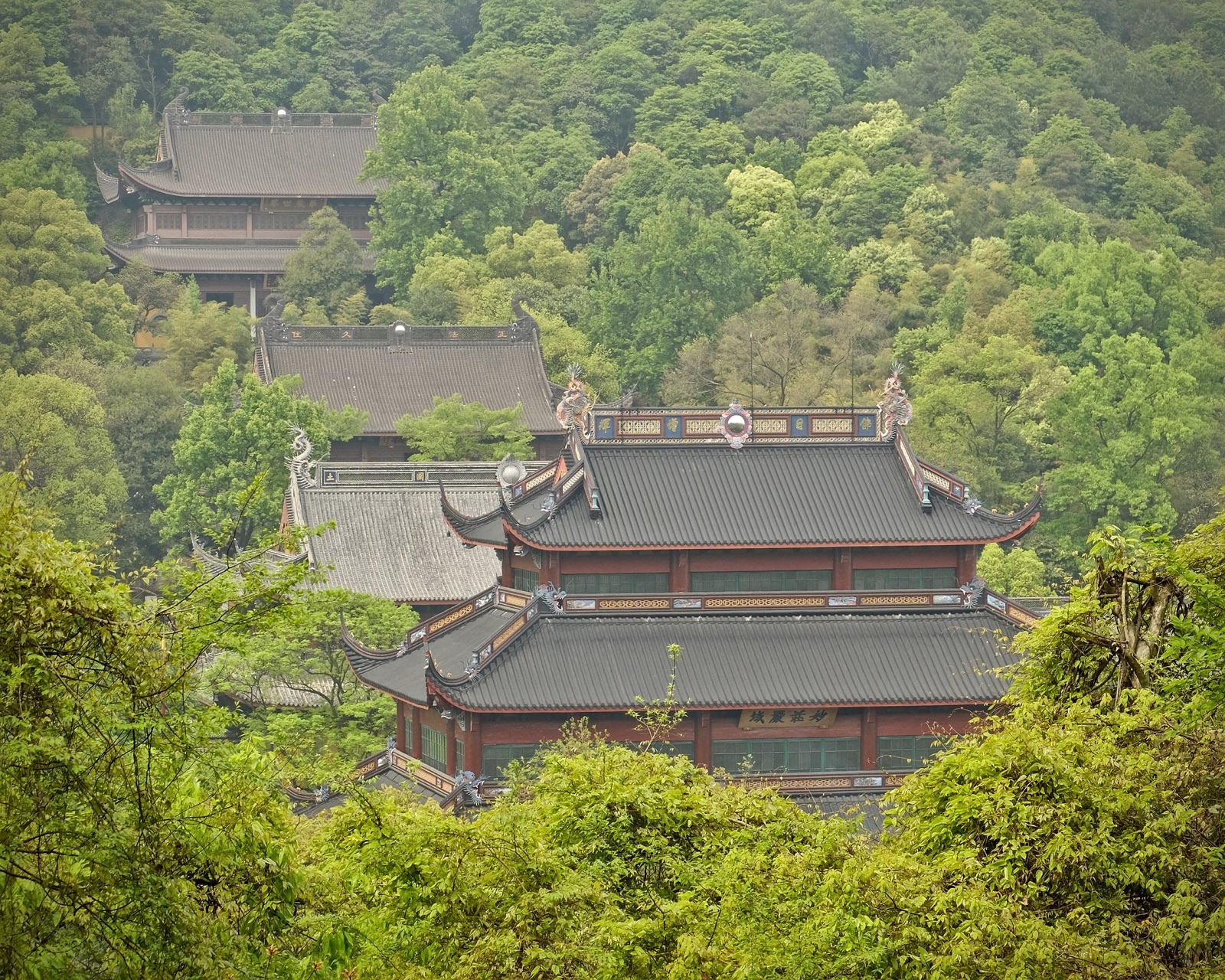 Lingyin Temple rooftops emerging through Hangzhou’s forested western hills